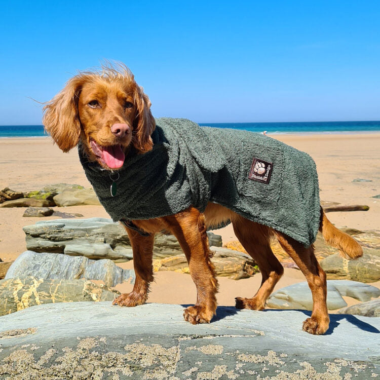 Danish Design Dog Drying Robe Green