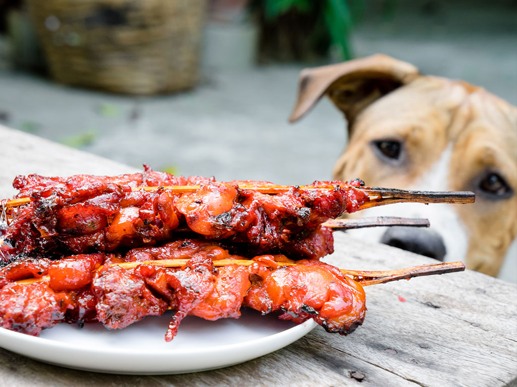 Make Summer BBQs Fun for You & Safe for Your Dog