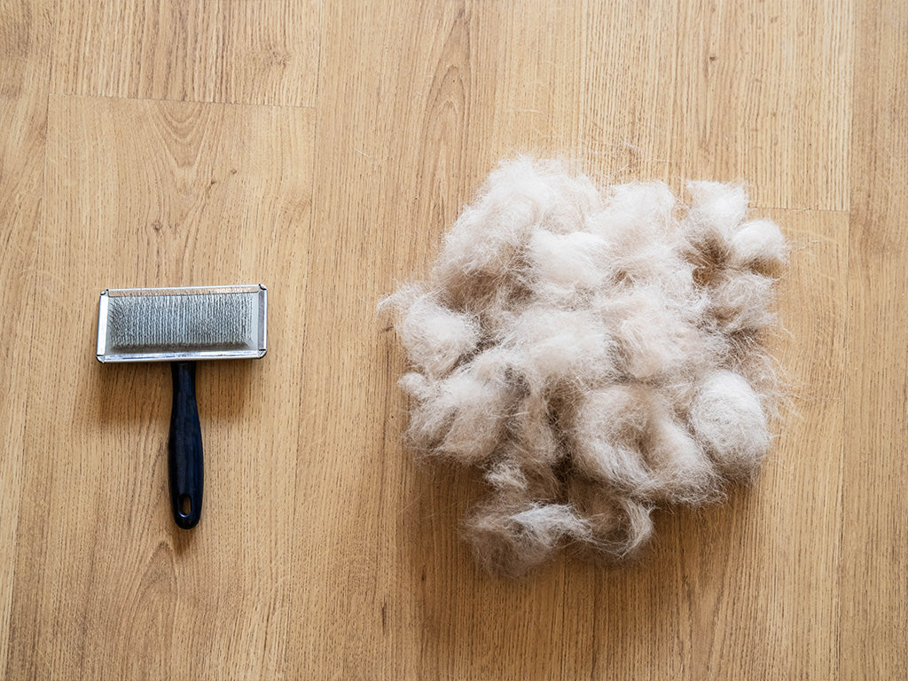 Keeping Your Dog's Coat Healthy in High Heat