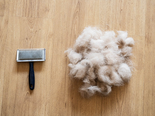 Keeping Your Dog's Coat Healthy in High Heat