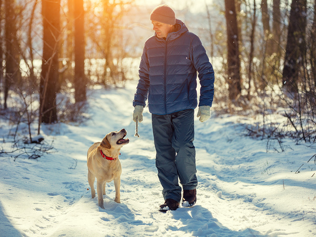 Discover Delicious & Natural Dog Treat this New Year.