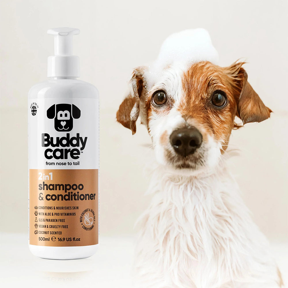Buddycare 2in1 Coconut Shampoo & Conditioner
