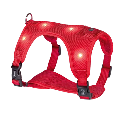 Nobby Flash Mesh LED Harness - Red