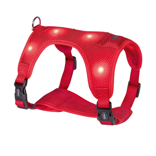 Nobby Flash Mesh LED Harness - Red