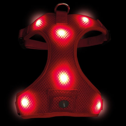 Nobby Flash Mesh LED Harness - Red
