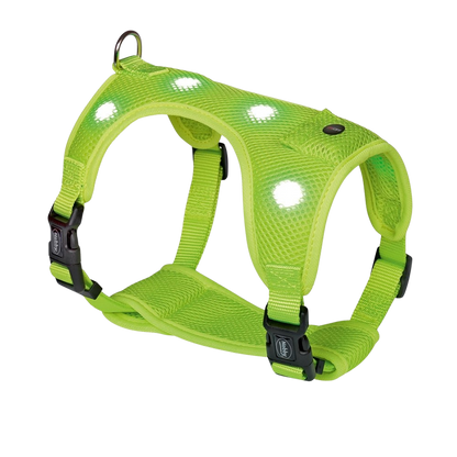 Nobby Flash Mesh LED Harness - Neon Yellow