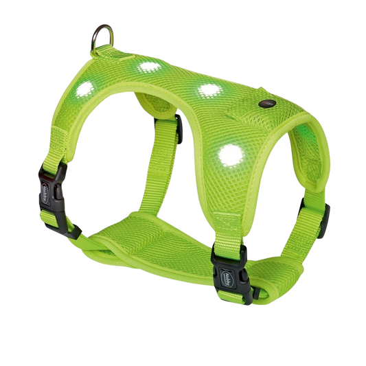 Nobby Flash Mesh LED Harness - Neon Yellow