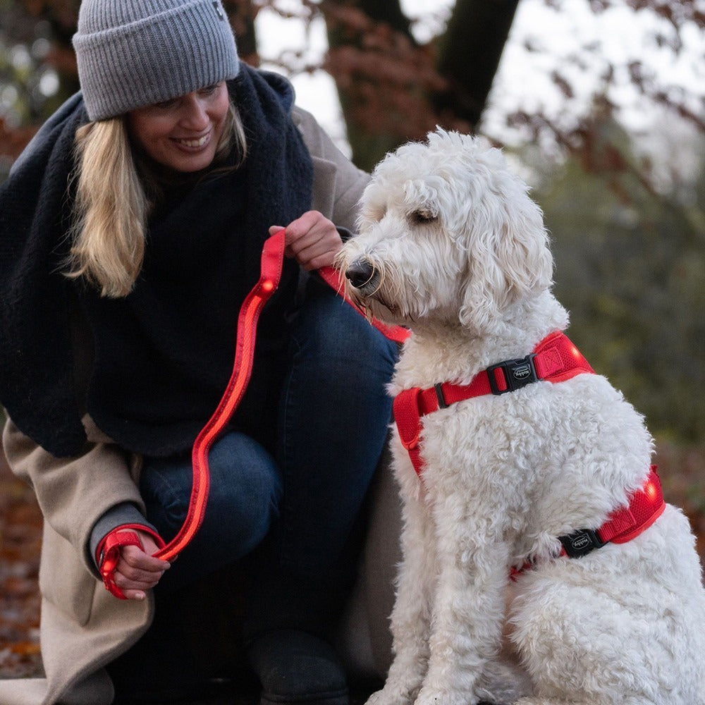 Nobby Flash Mesh LED Lead - Red