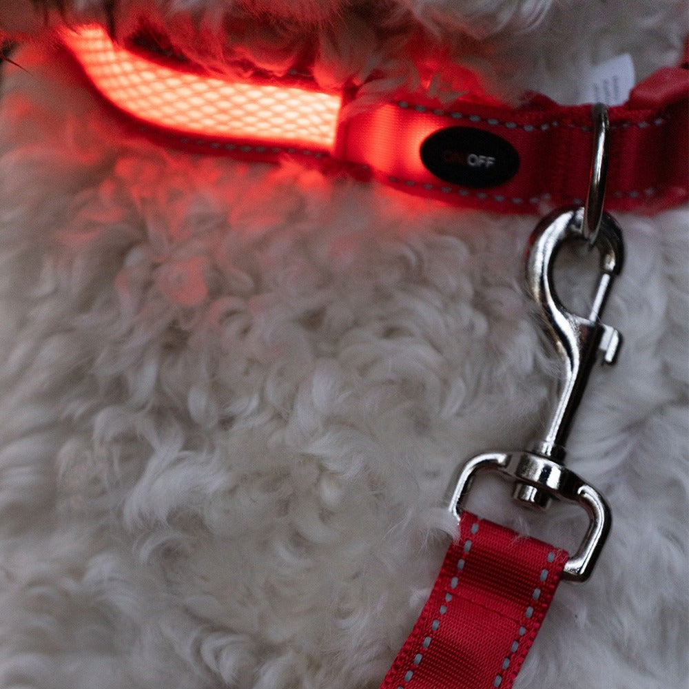 Nobby Flash Mesh LED Lead - Red