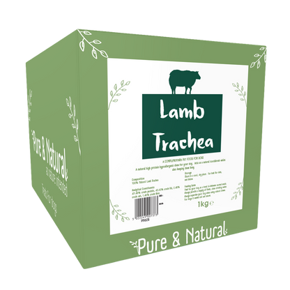 Lamb Trachea