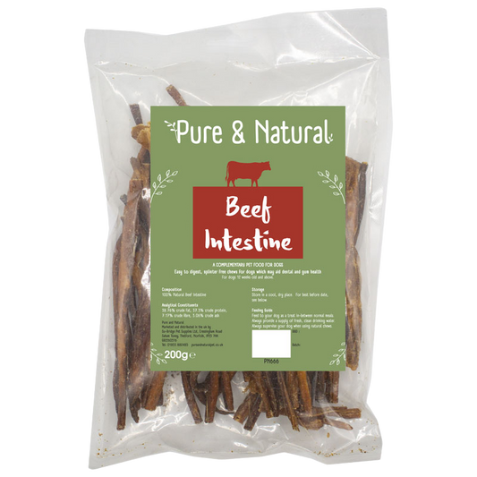 Beef Intestine