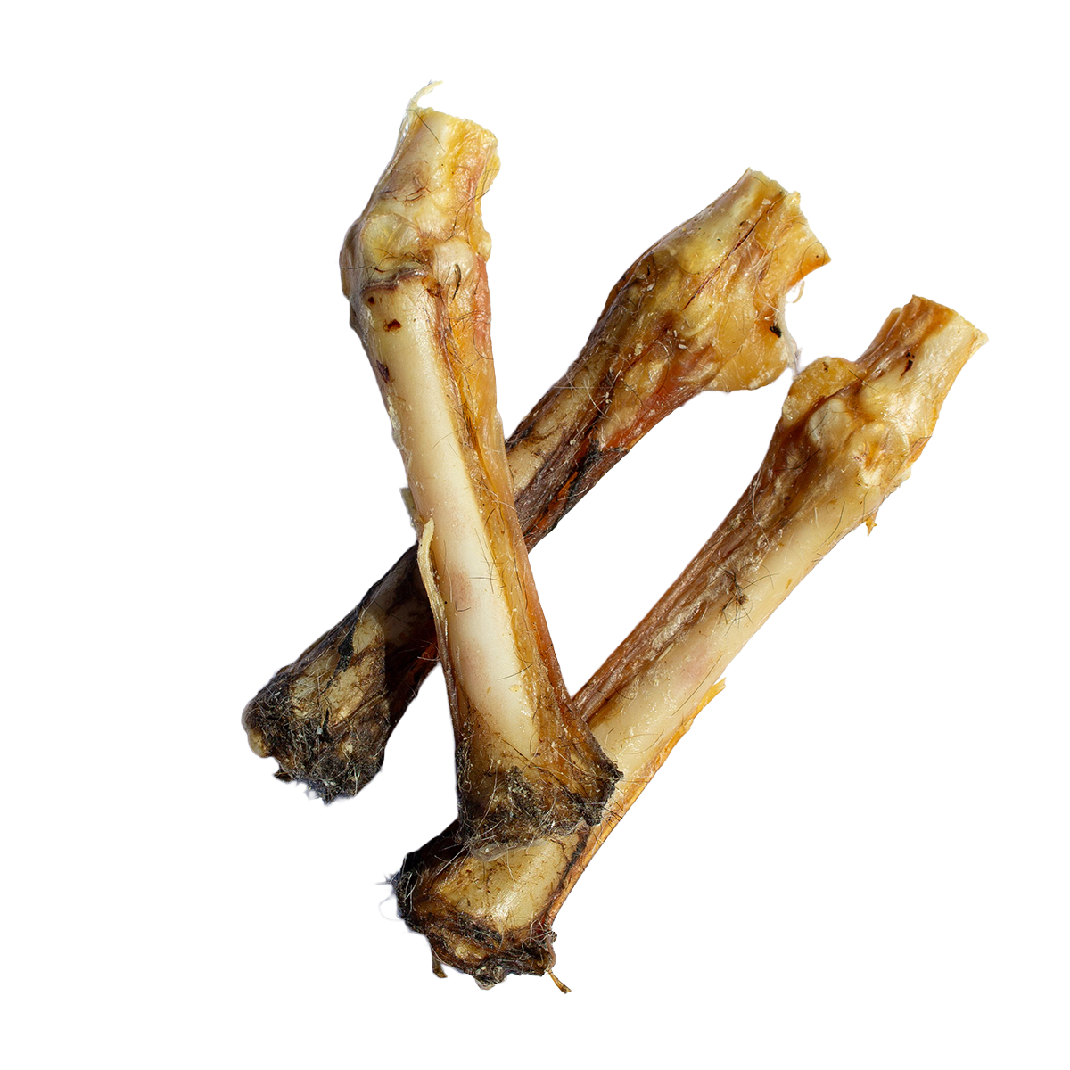 Lamb Bone