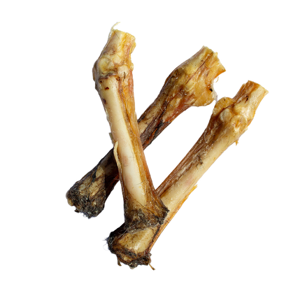 Lamb Bone