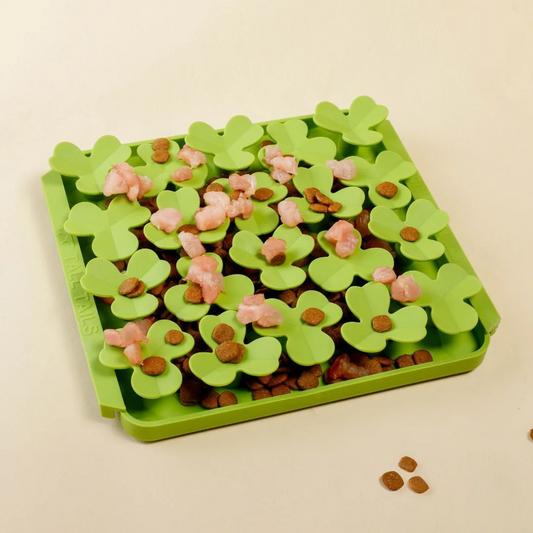 Tall Tails Spring Clover Foraging Mat