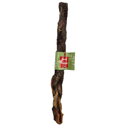 Braided Beef Tripe Giant 50cm 5pk