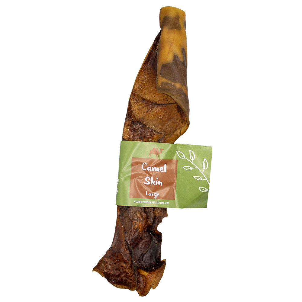 Camel Skin Stick Large 30cm 5pk