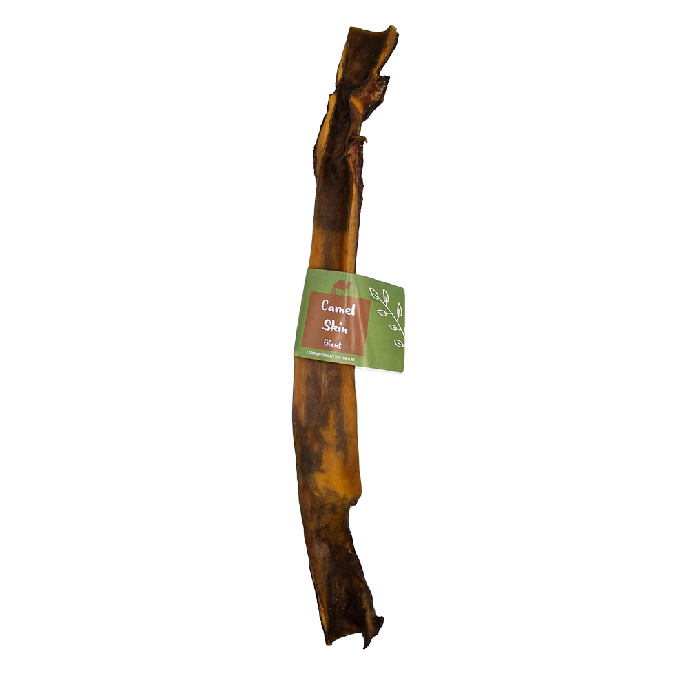 Camel Skin Stick Giant 50cm 5pk