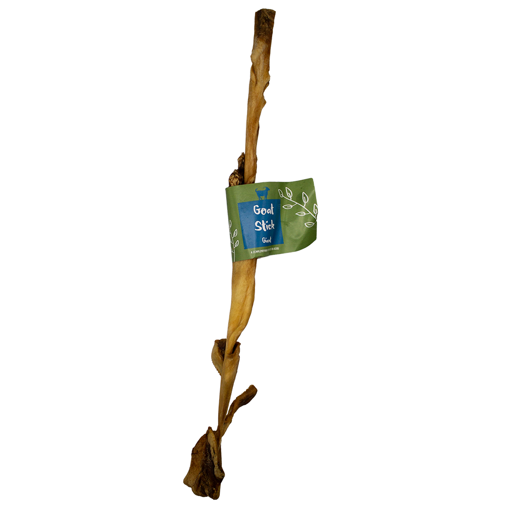 Goat Stick Giant 50cm 5pk