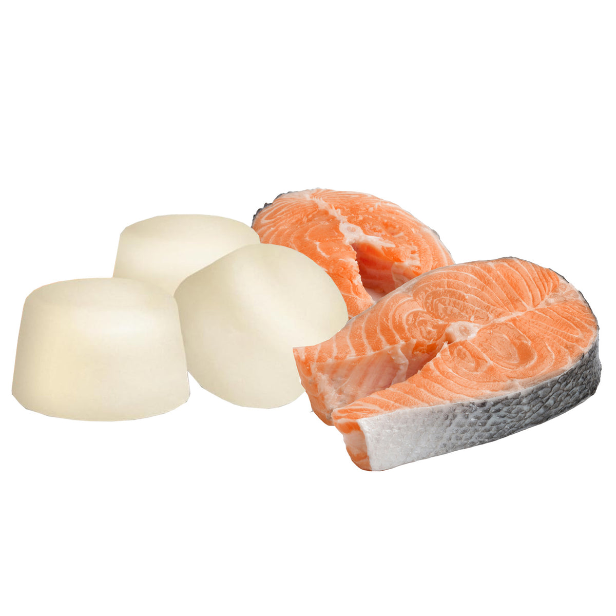 Sheep Fat Softies with Salmon