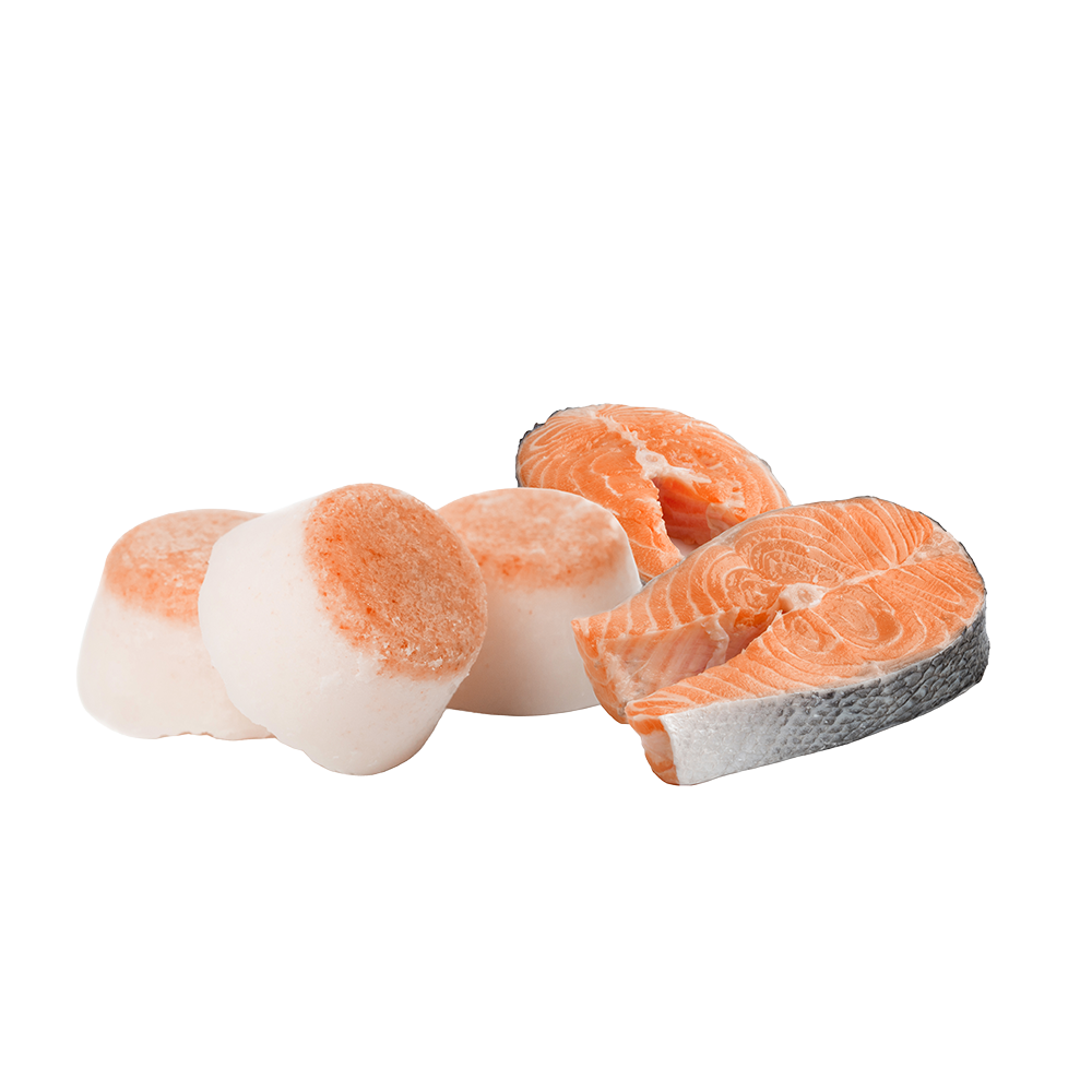 Sheep Fat Softies with Salmon