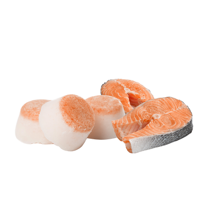 Sheep Fat Softies with Salmon