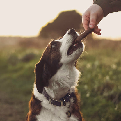 Beef & Garlic Gourmet Sausages