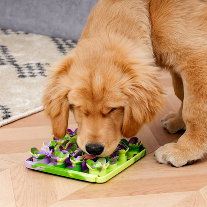 Tall Tails Succulent Garden Foraging Mat