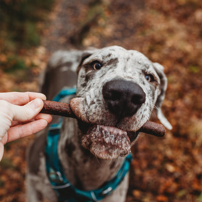 Beef & Vegetables Gourmet Sausages