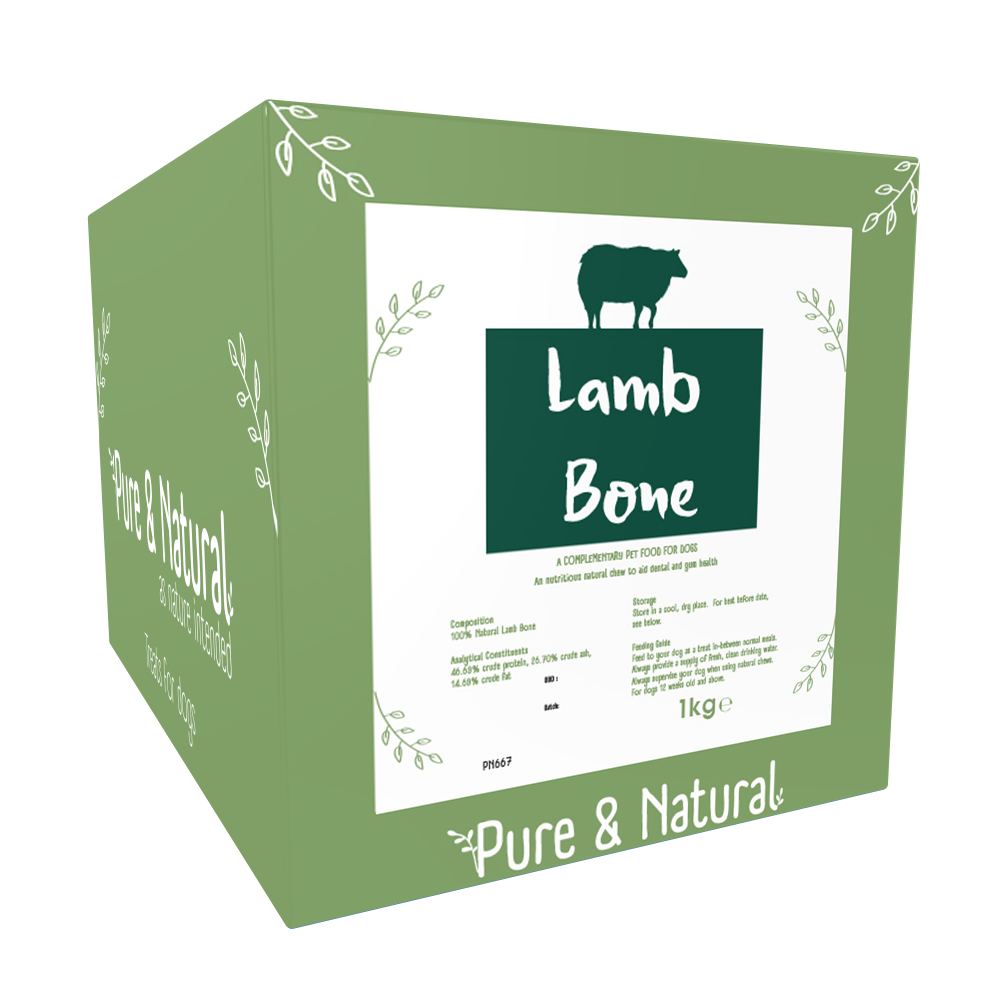 Lamb Bone