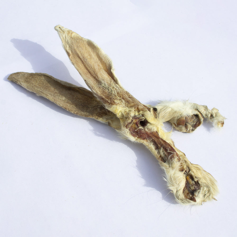 Rabbit Ears With Hair